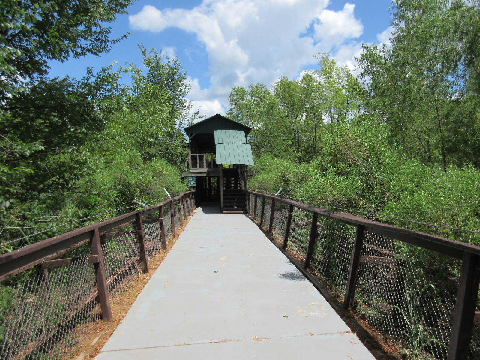 Alligator Marsh - Visitor Pathway