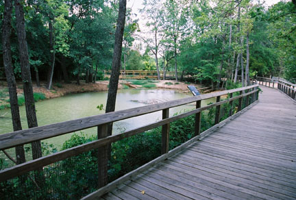 alligator pond