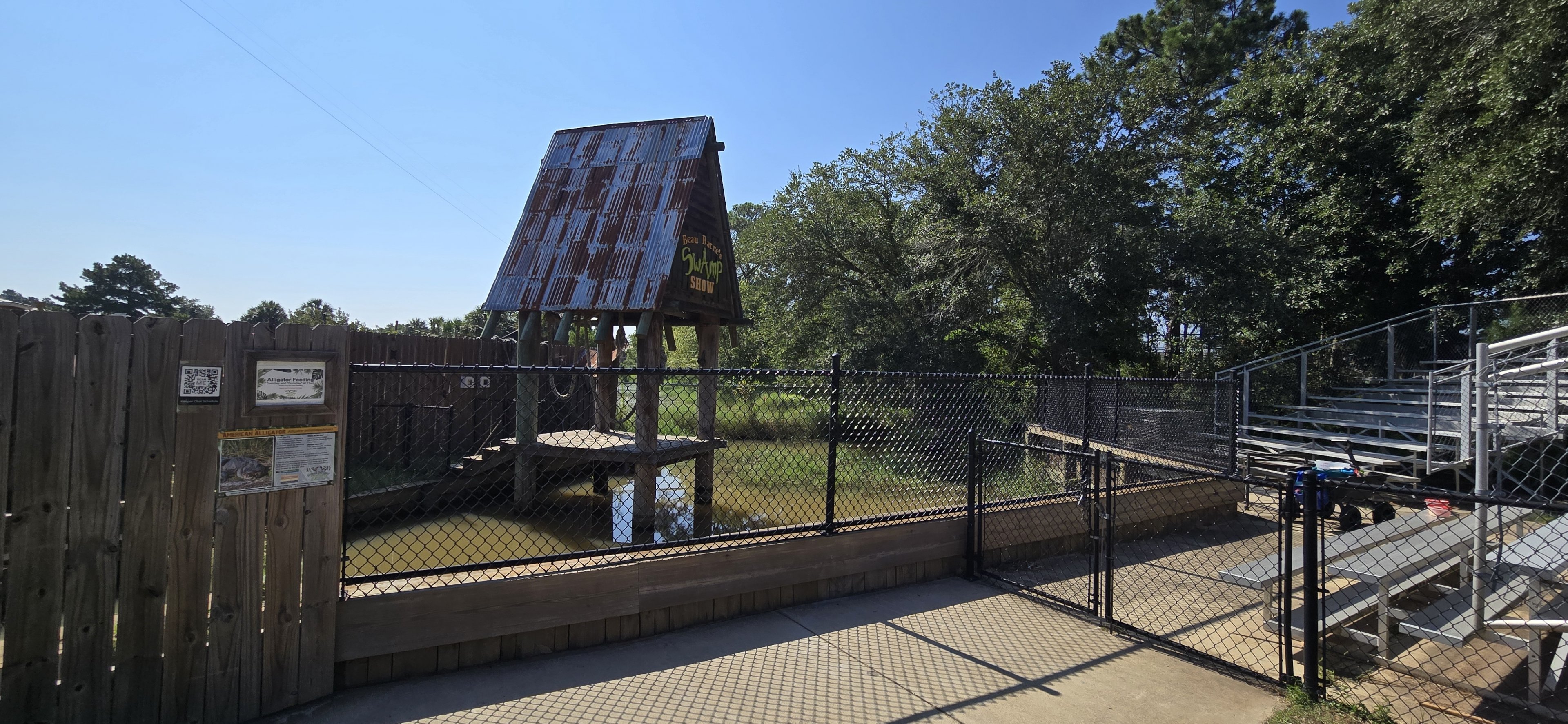 Alligator show "stage" area