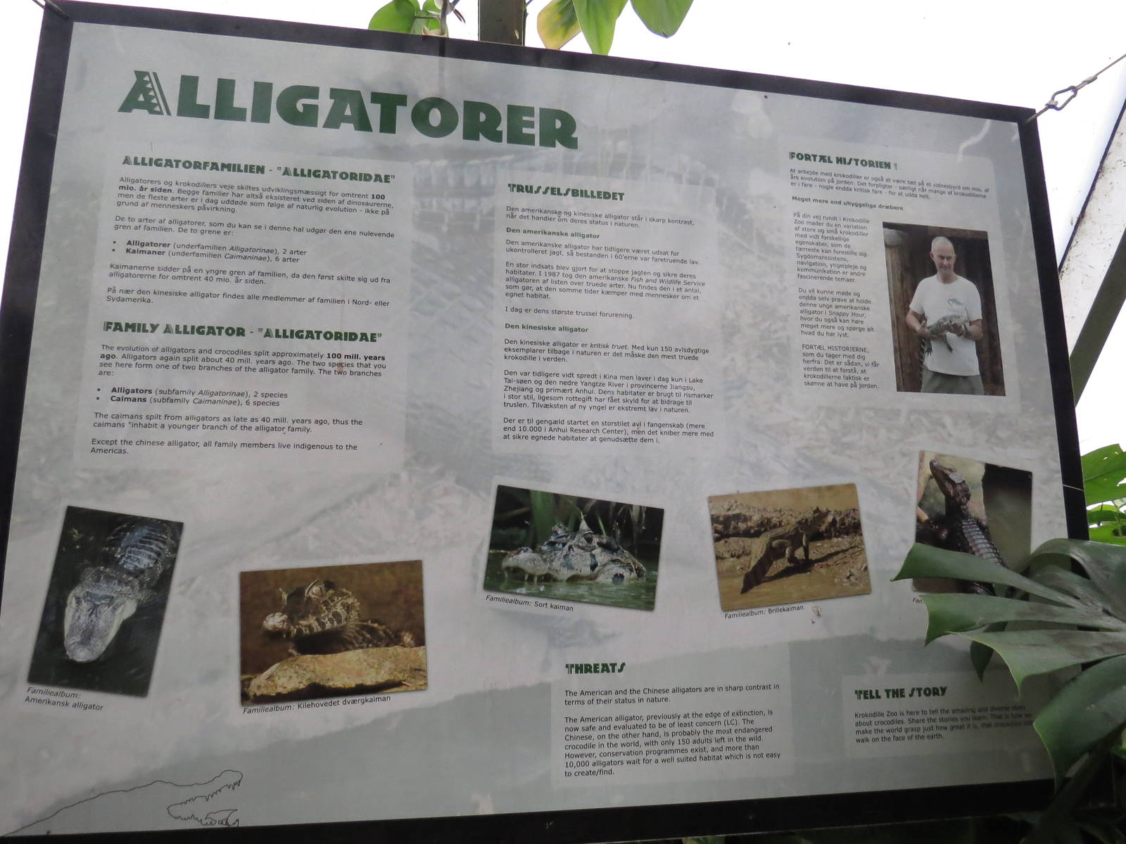 Alligator sign, June 2015.