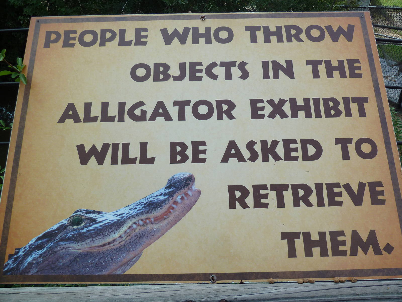 Alligator Sign