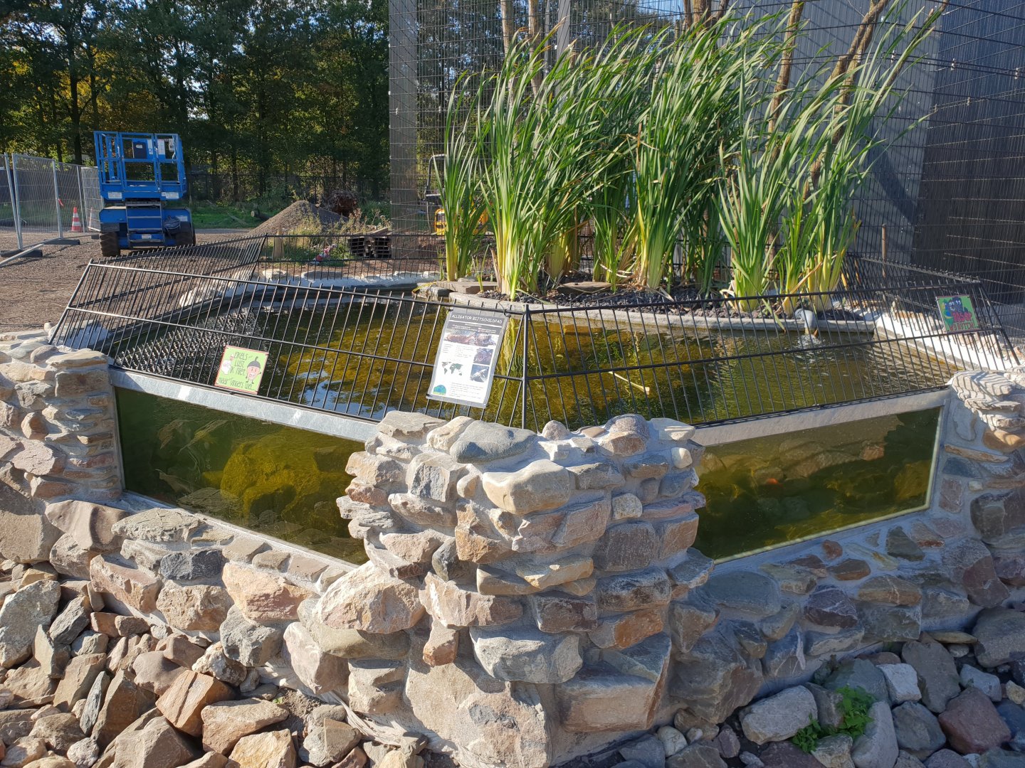 Alligator snapping turtle enclosure