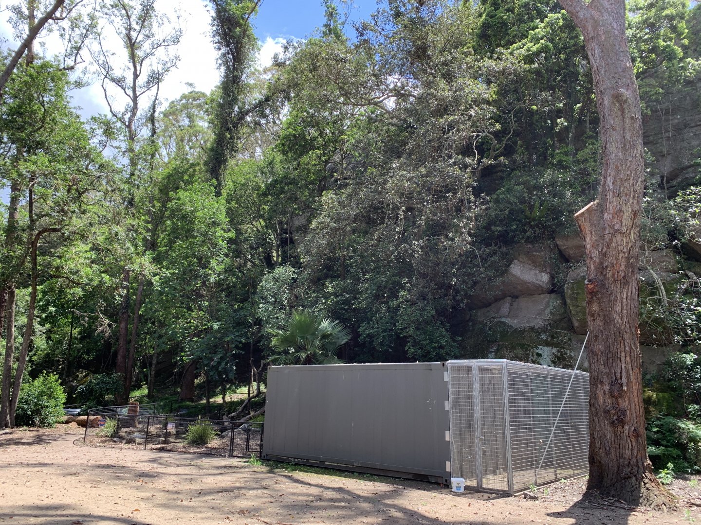 Alligator Snapping Turtle Enclosure