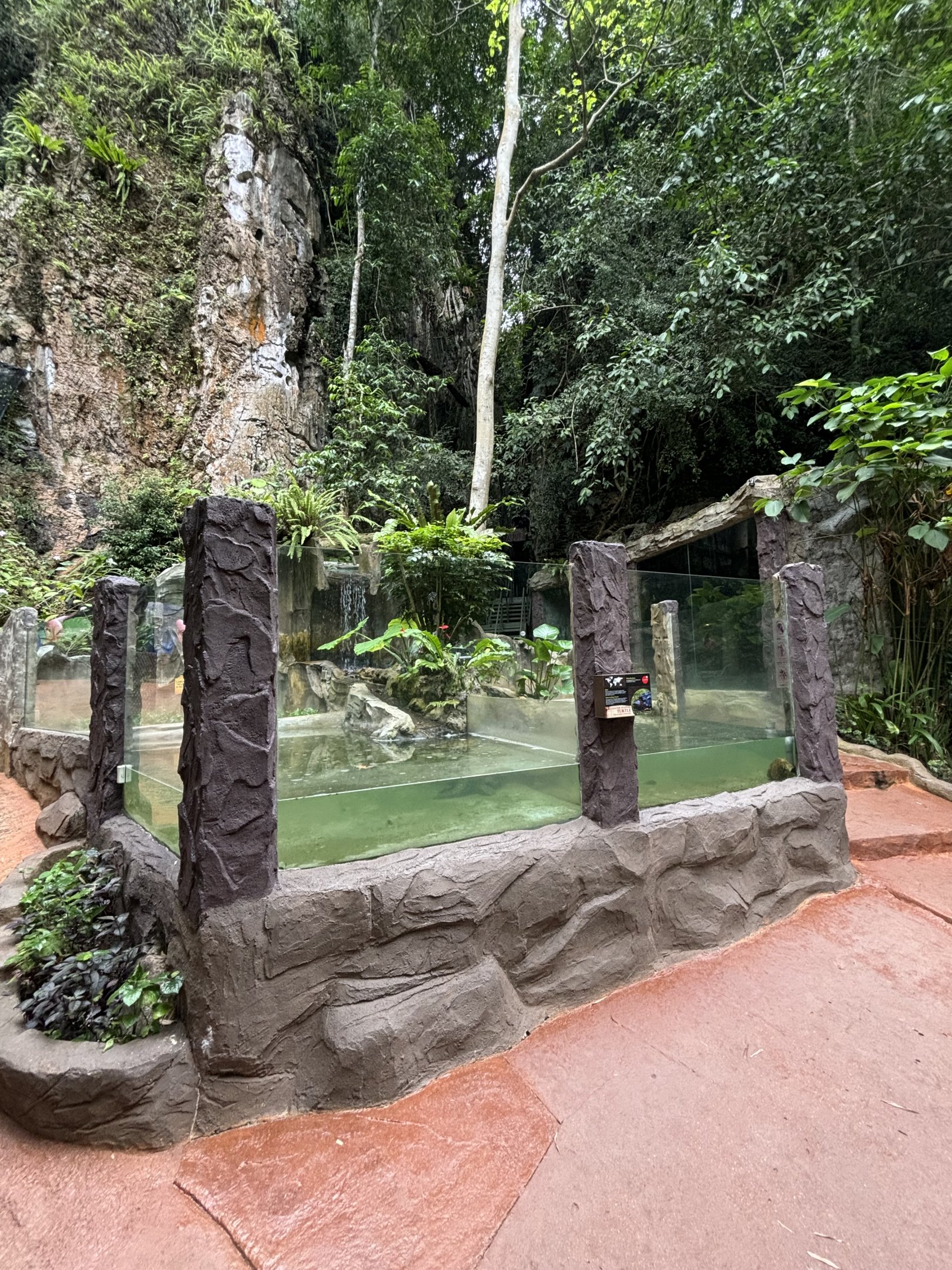 Alligator Snapping Turtle Exhibit - Lost World of Tambun