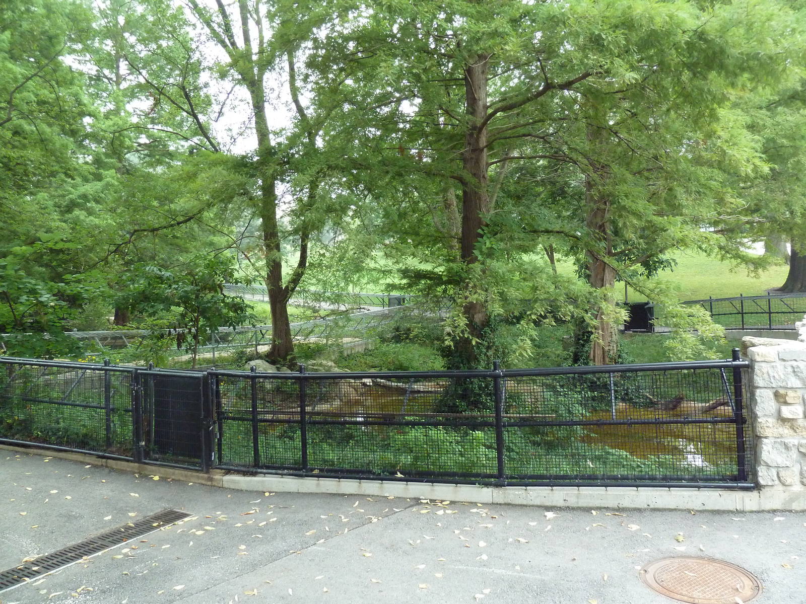 Alligator Snapping Turtle Exhibit