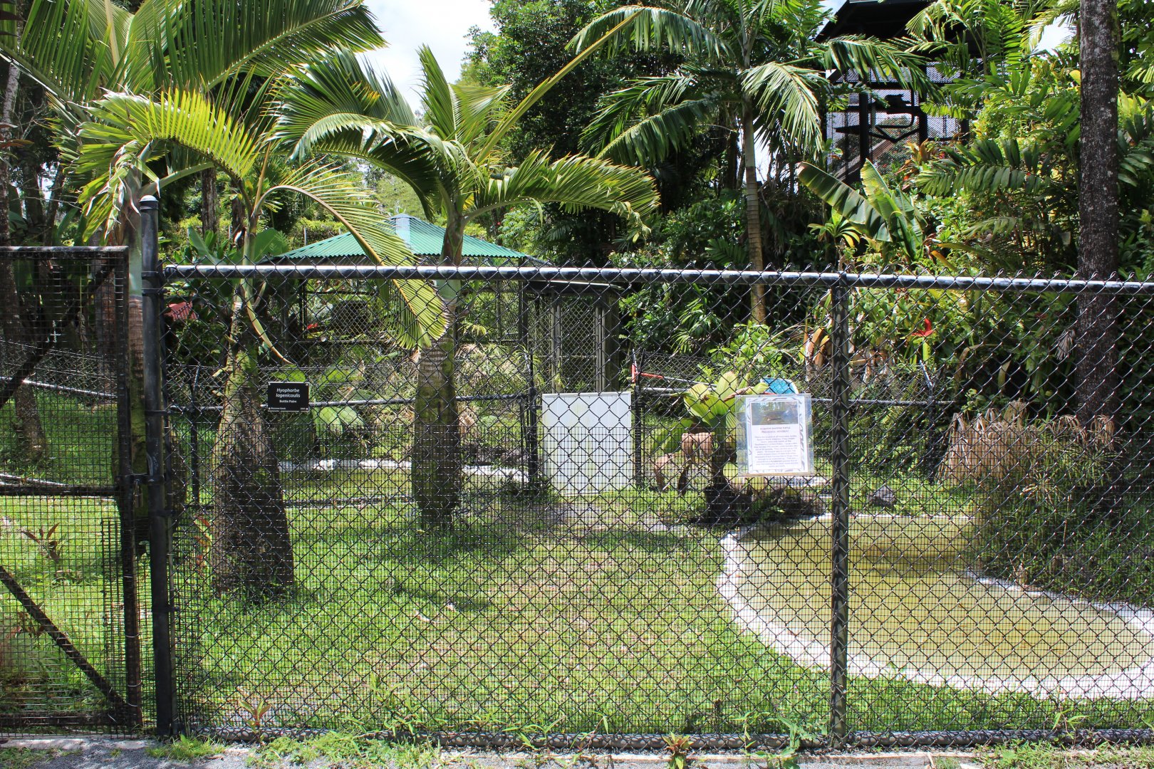 Alligator Snapping Turtle Exhibit