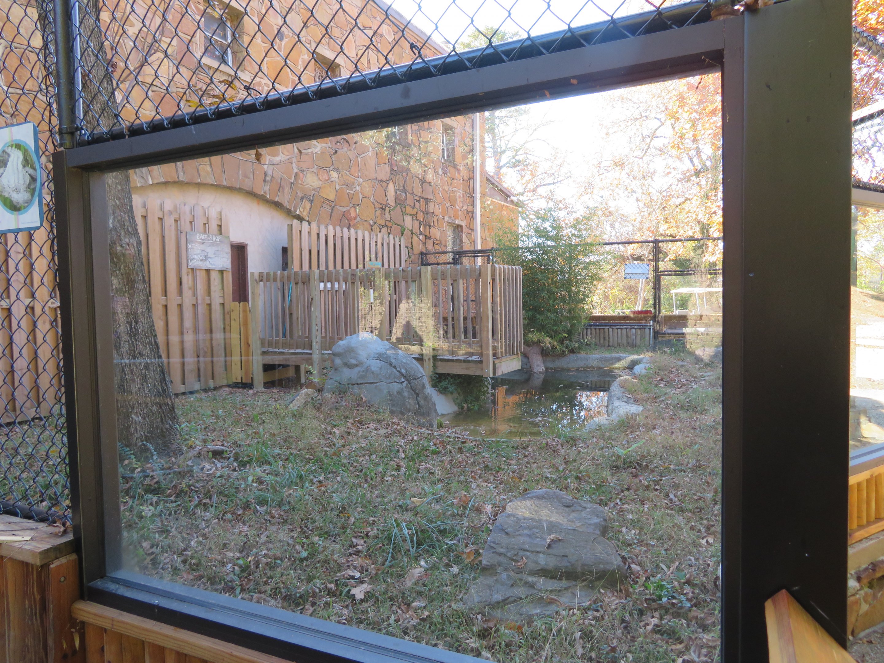 Alligator/Snapping Turtle Exhibit