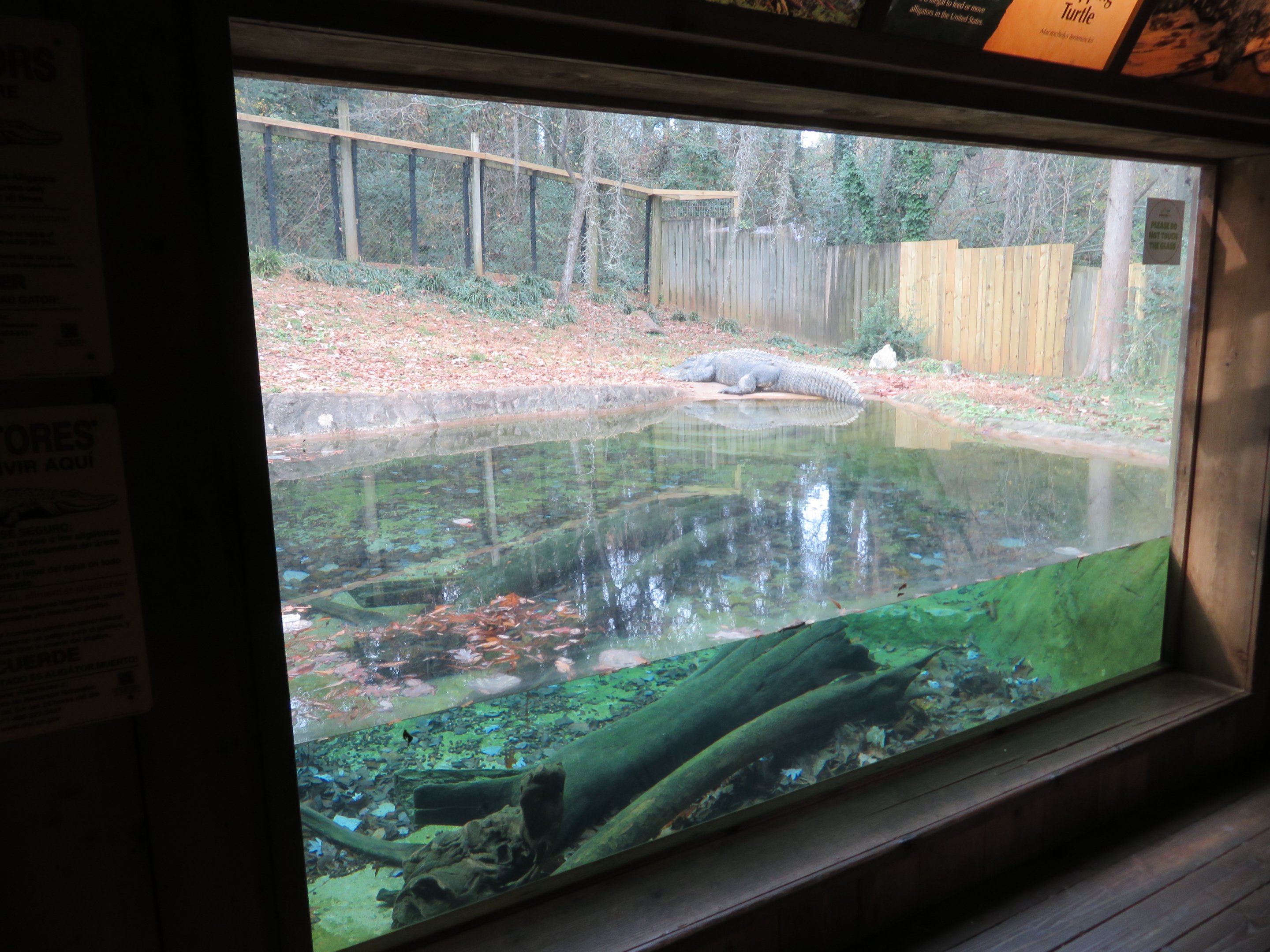 Alligator/Snapping Turtle Exhibit
