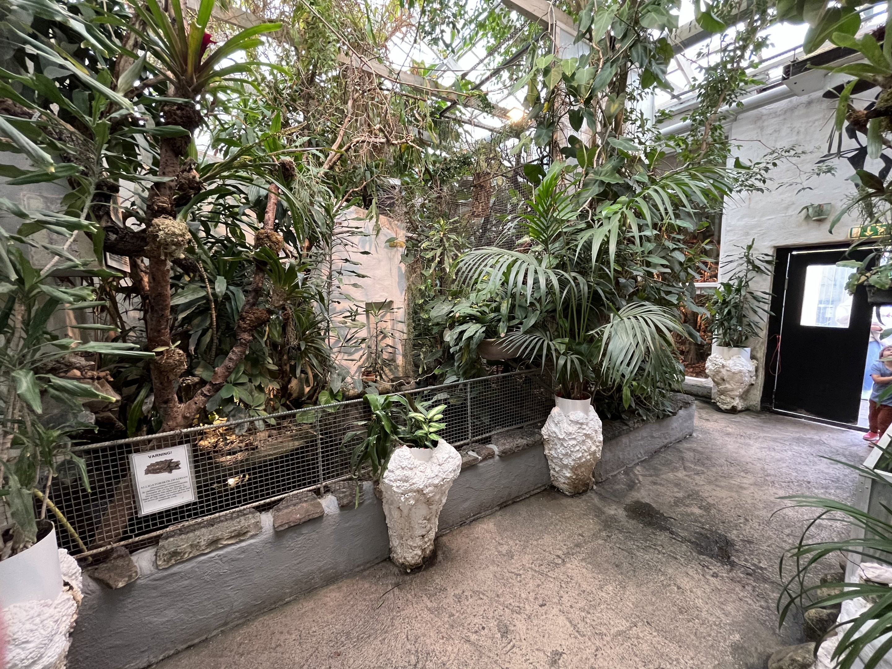 Alligator Snapping Turtle Exhibit