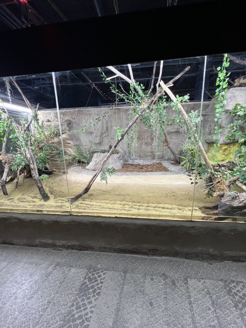 Alligator Snapping Turtle Exhibit