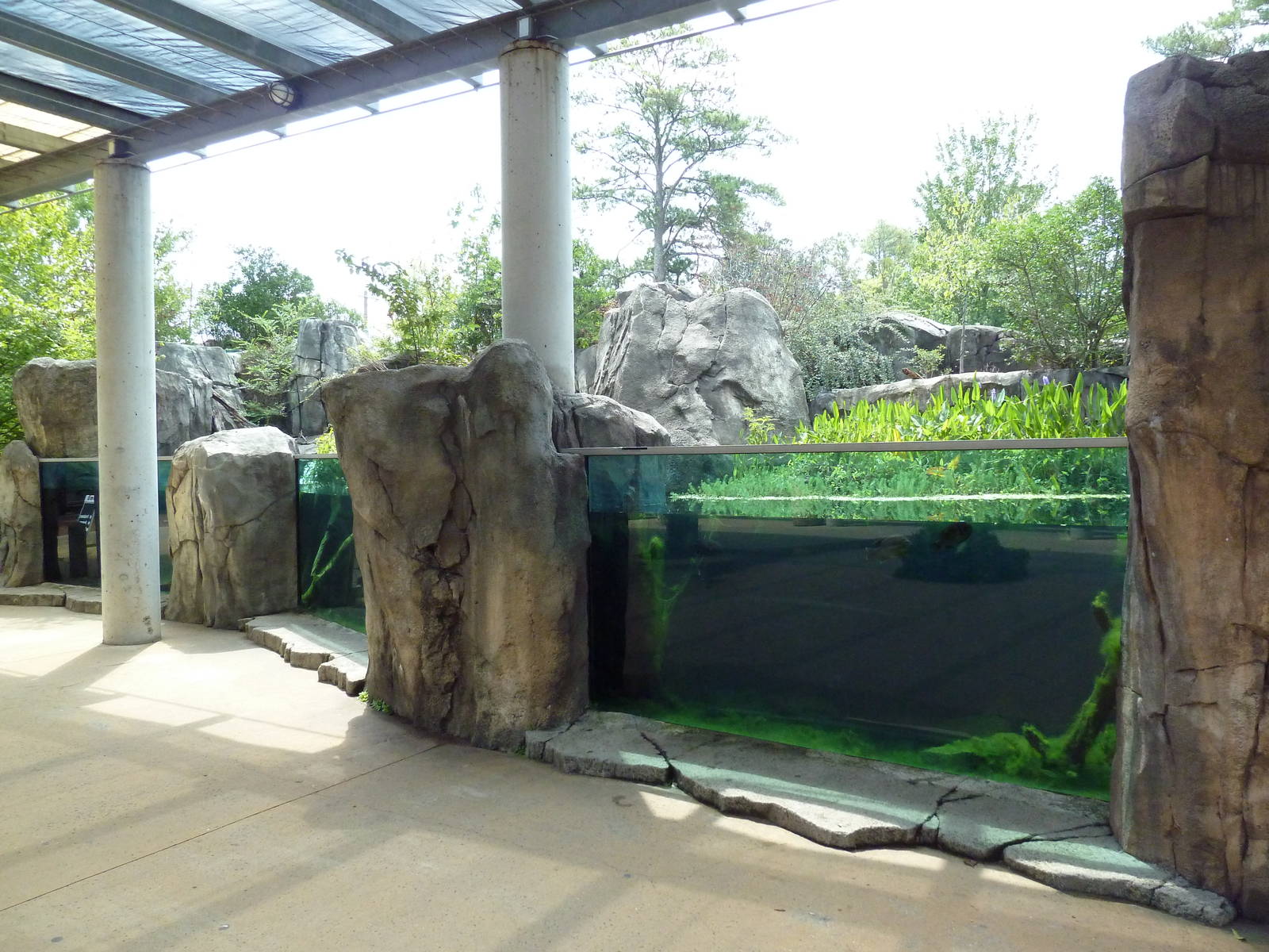 Alligator Snapping Turtle/Fish Exhibit