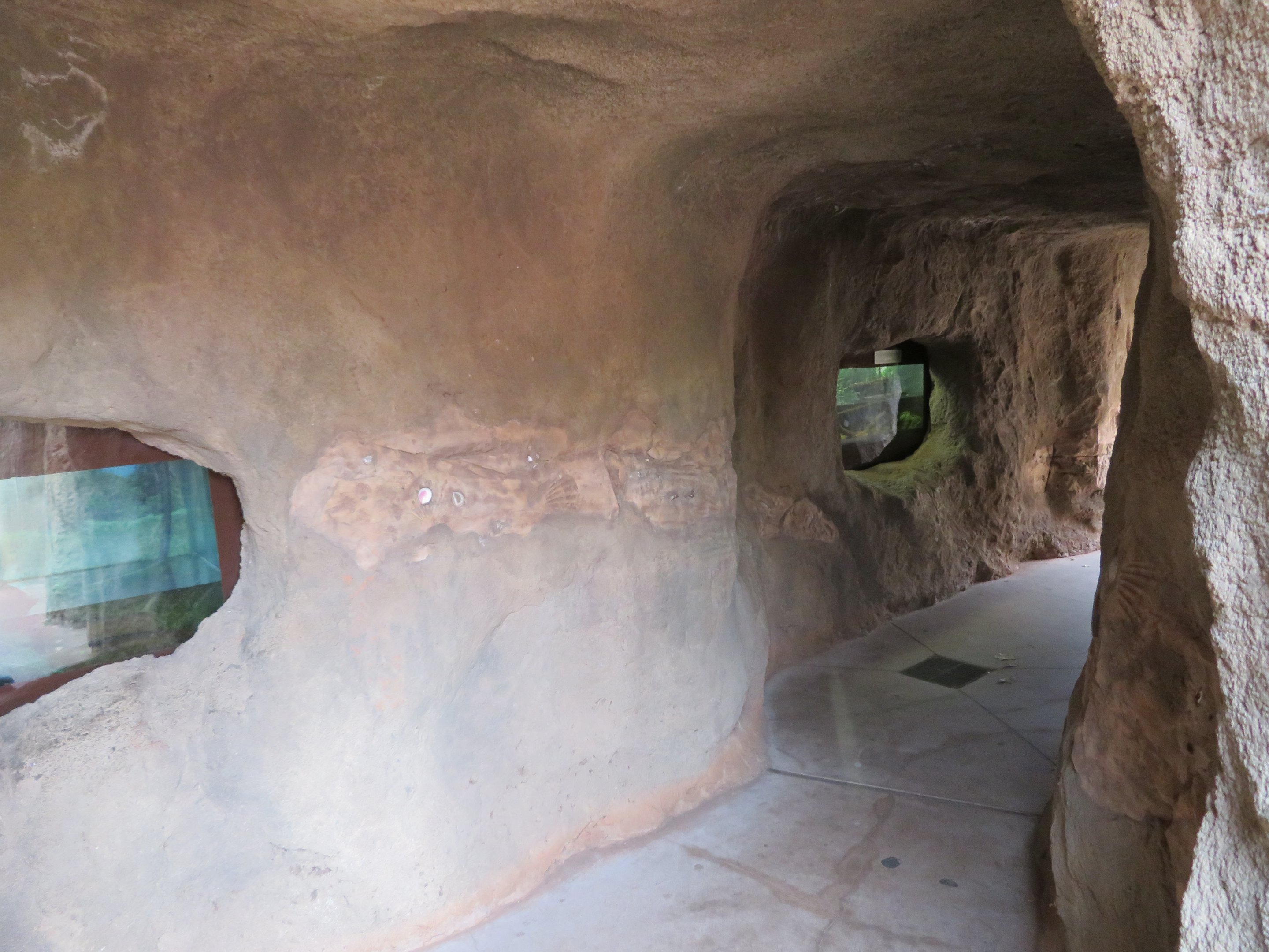 Alligator/Snapping Turtle Hatchling Cave