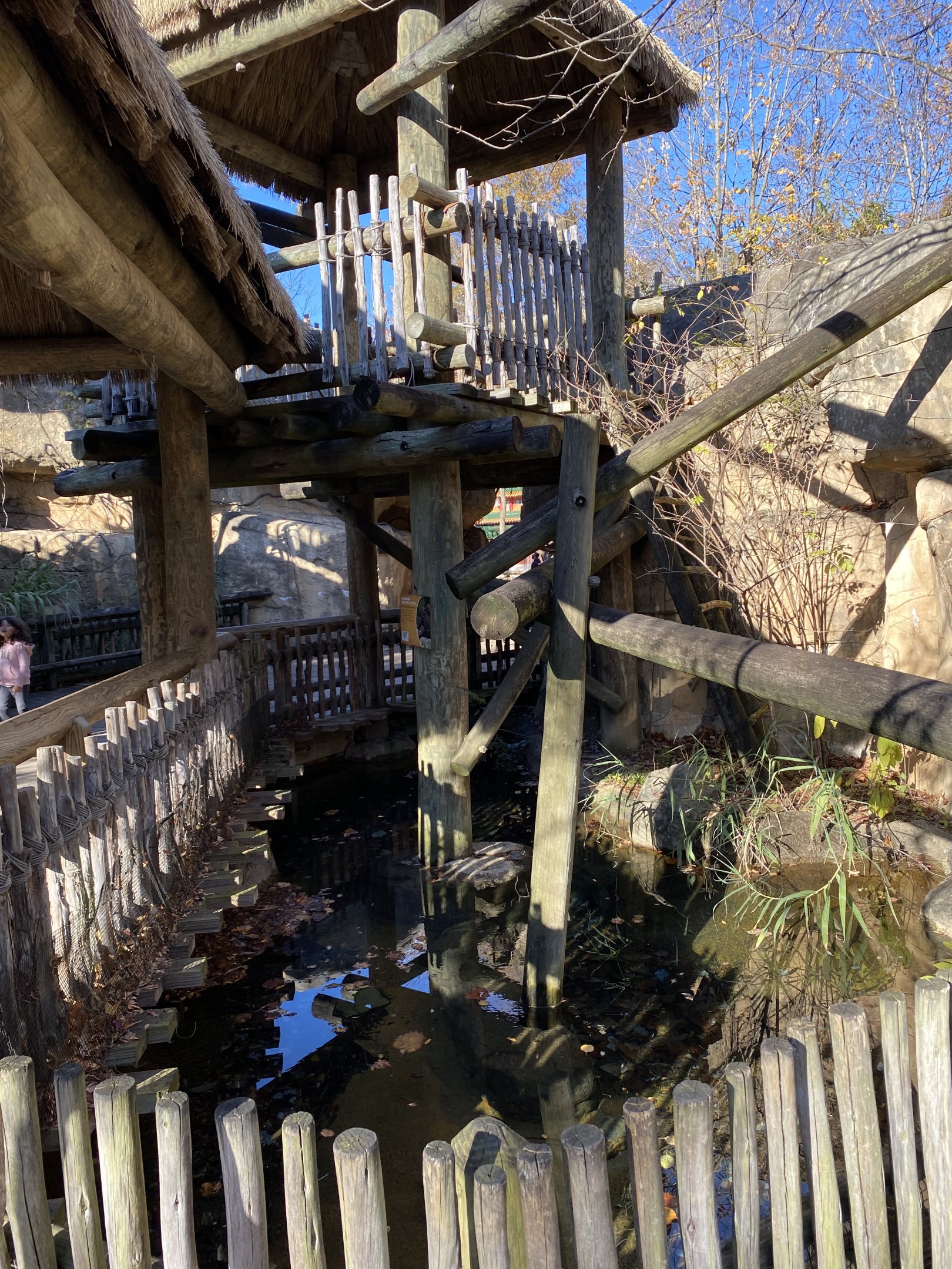 Alligator Snapping Turtle Moat