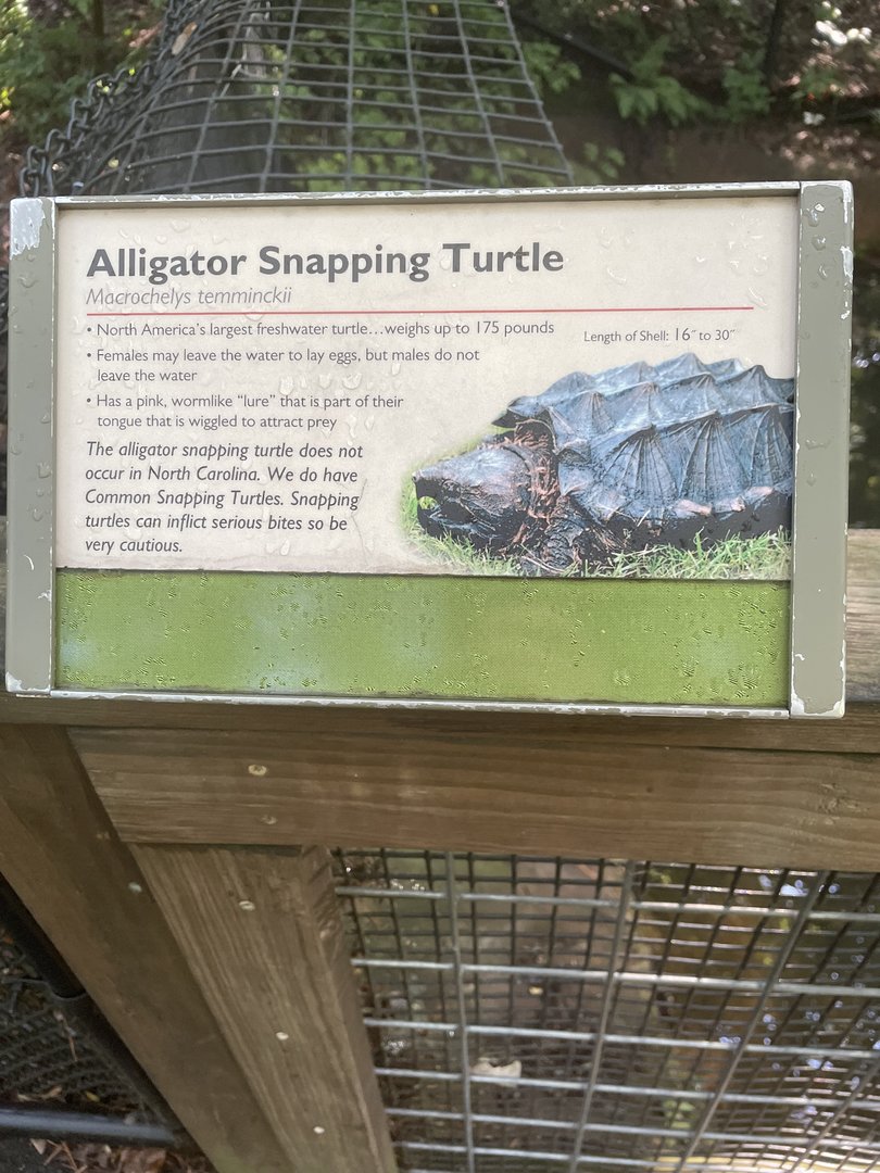 Alligator Snapping Turtle Sign
