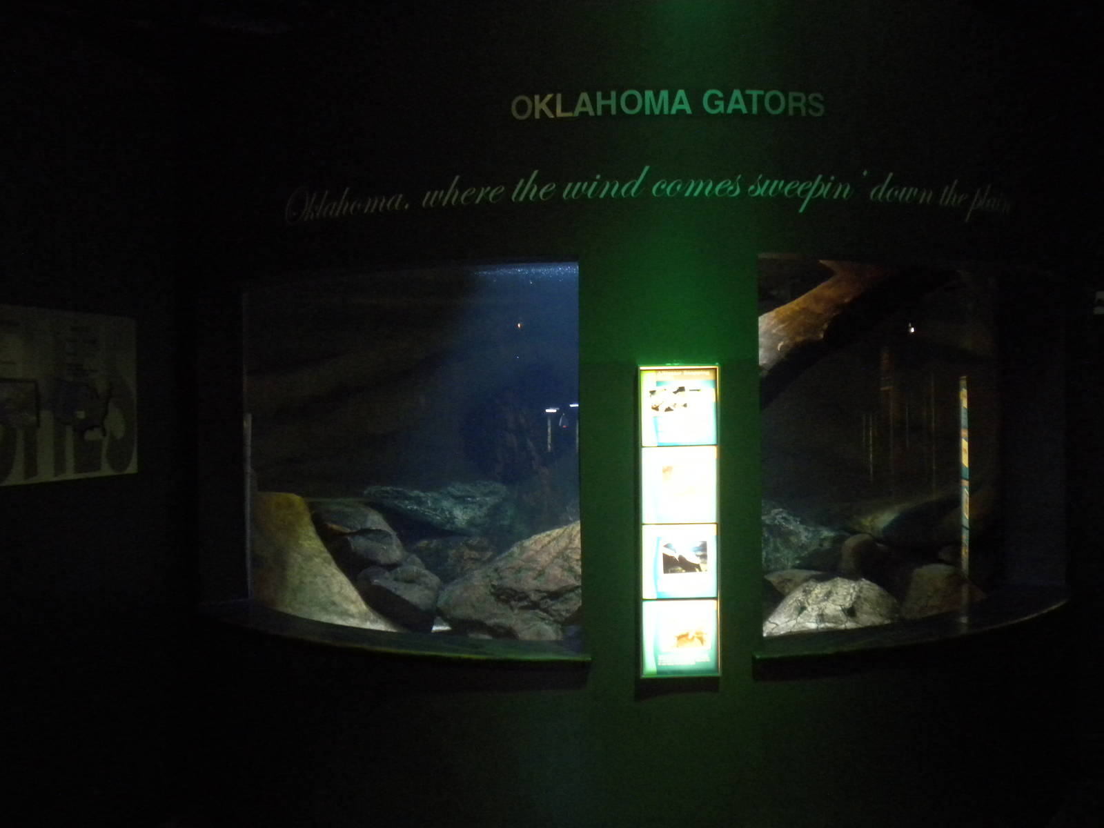 Alligator Snapping Turtle