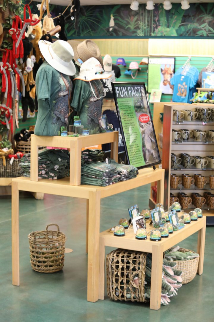 alligator souvenirs in gift shop