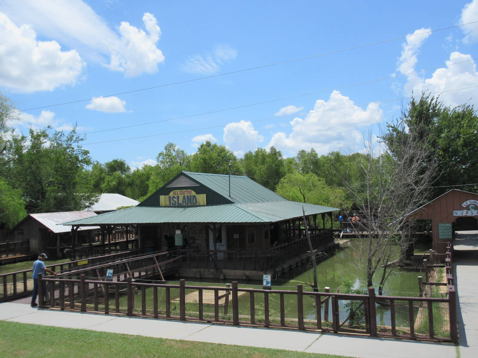 Alligator Swamp - From Viewing Deck