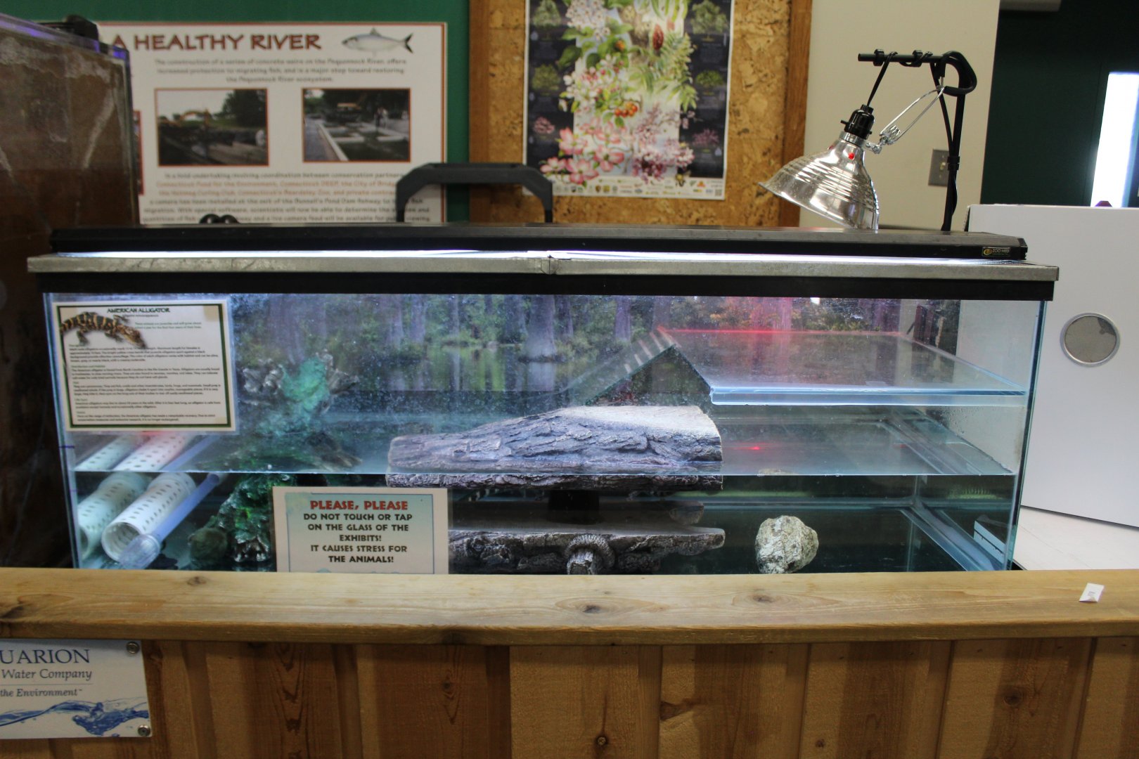 Alligator Tank