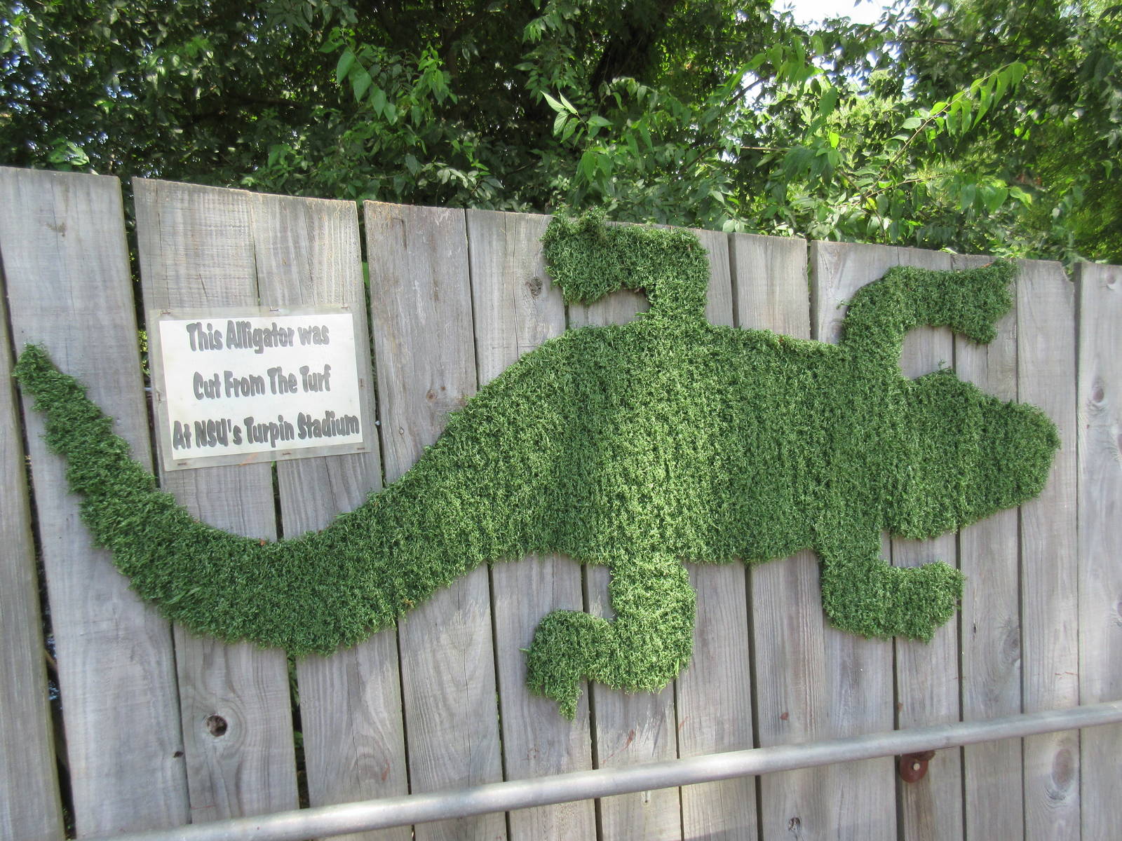 Alligator Topiary