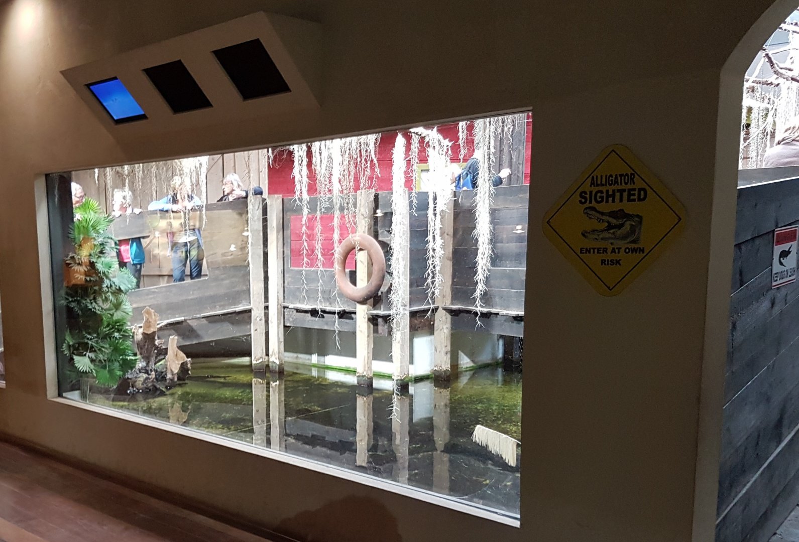 Alligator - Turtle enclosure