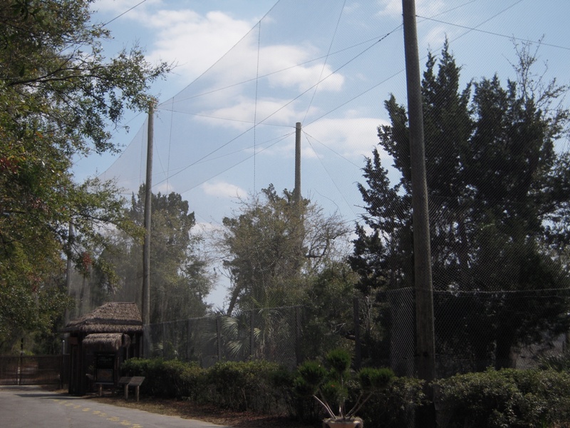 Alligator Wetlands Aviary