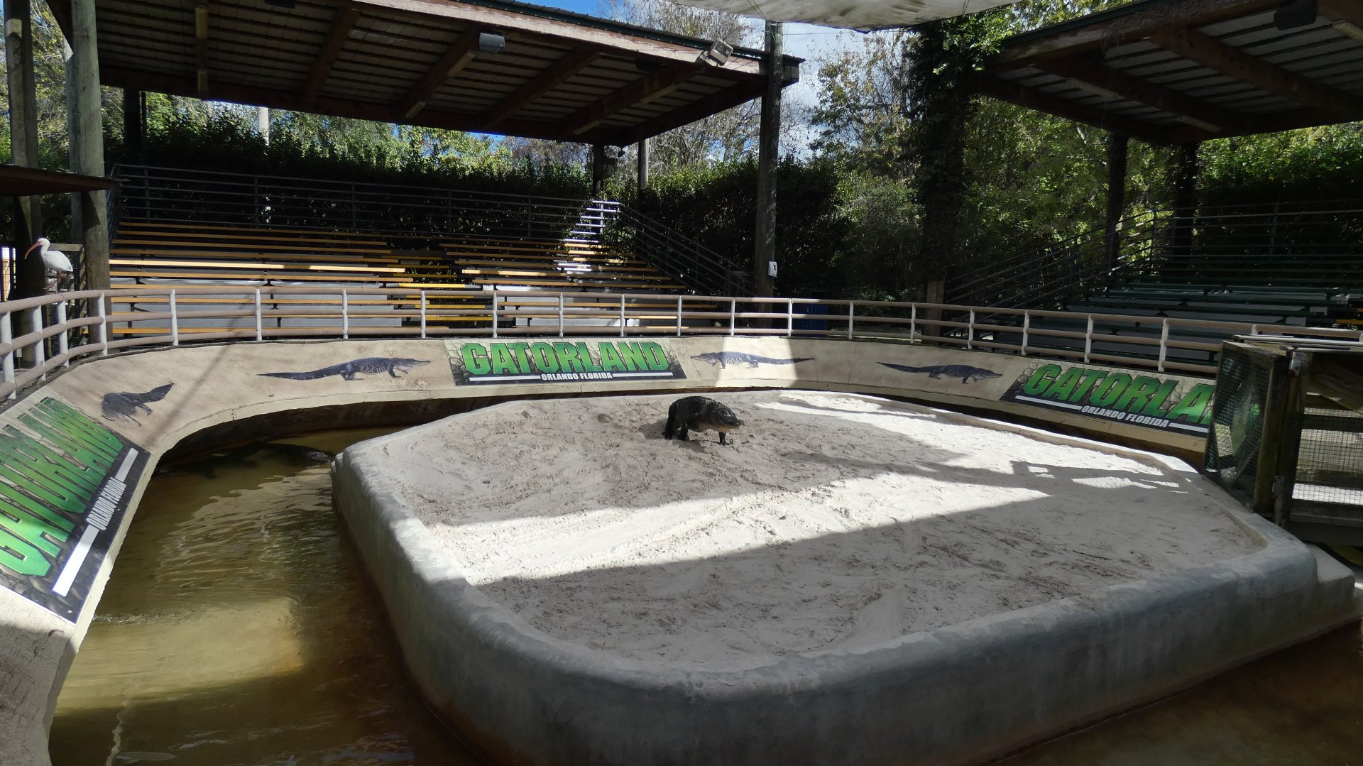 Alligators: Legends of the Swamp - Jan. 2022