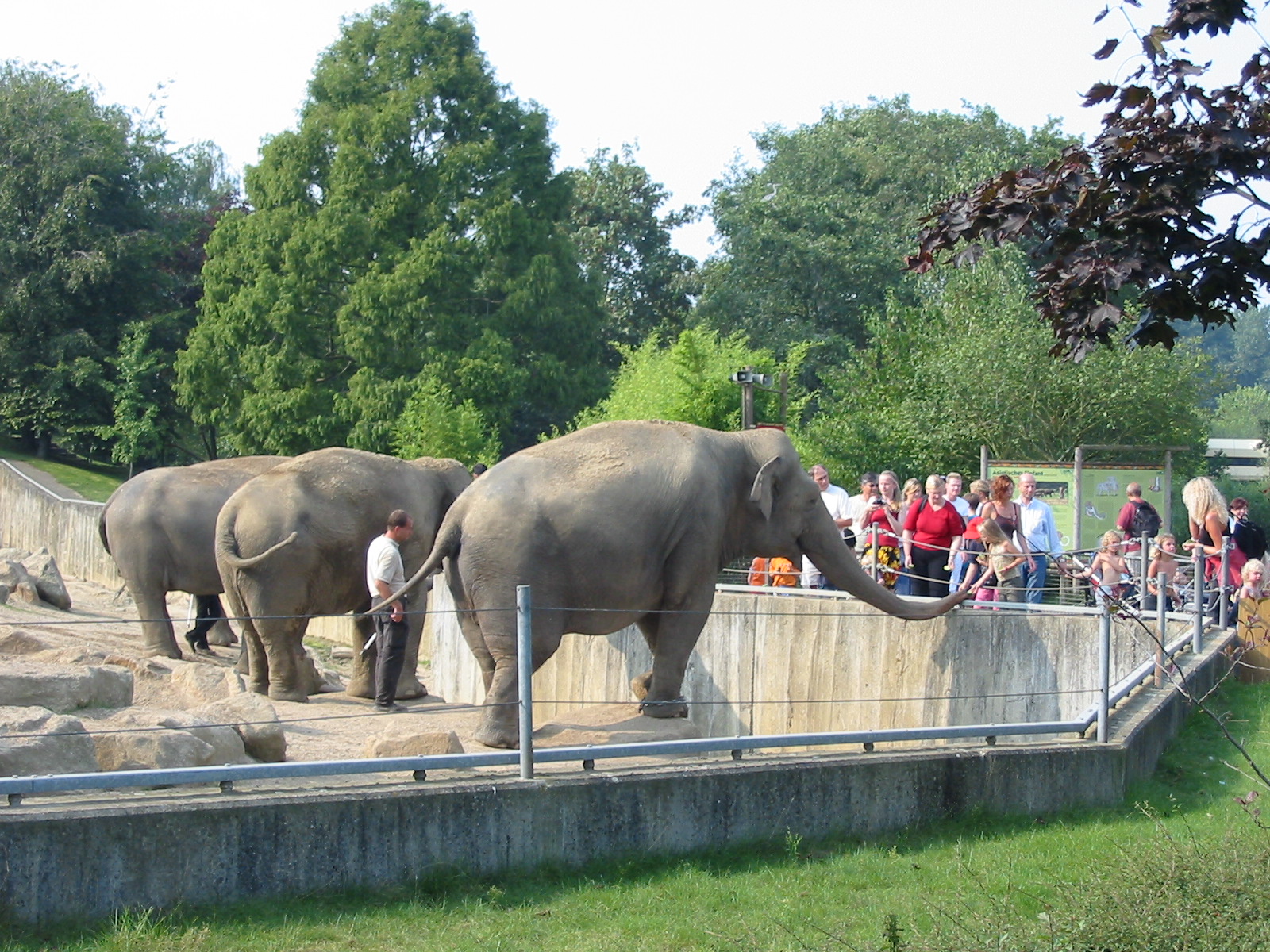 Allwetterzoo Munster 2004 - Elephant exhibit