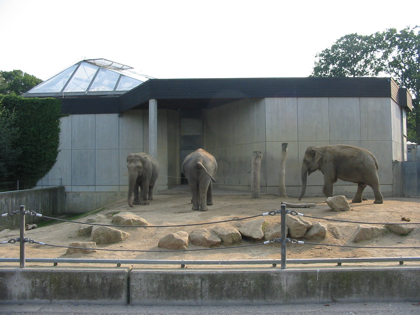 Allwetterzoo Munster 2004 - Elephant exhibit