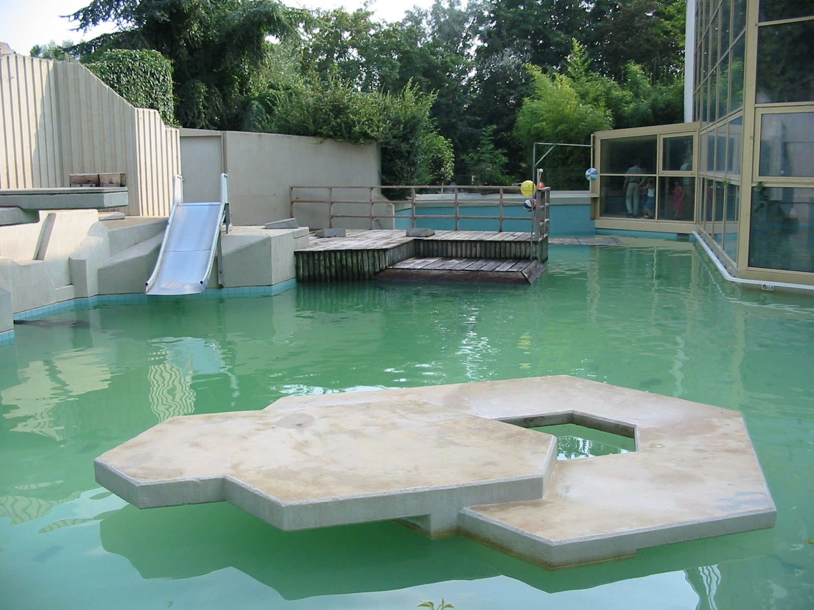 Allwetterzoo Munster 2004 - Grey Seal pool
