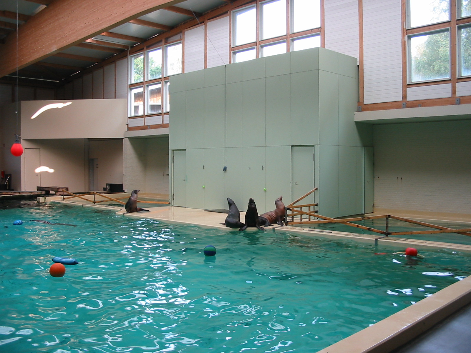 Allwetterzoo Munster 2004 - Inside the Sea Lion and Dolphin House