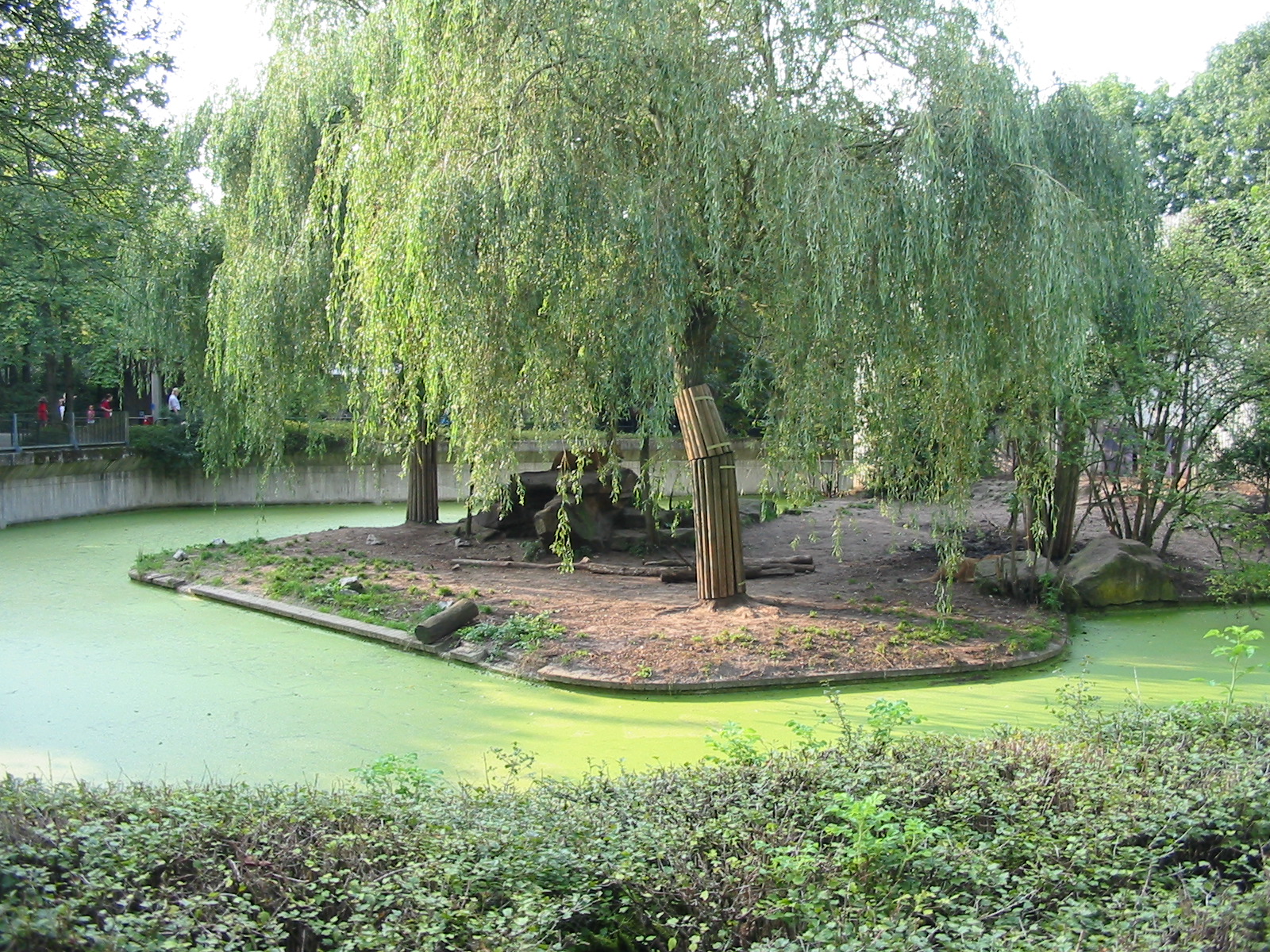 Allwetterzoo Munster 2004 - Lion exhibit
