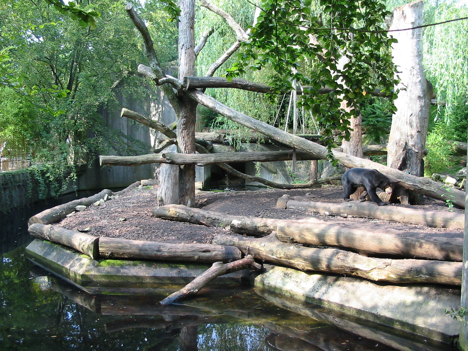 Allwetterzoo Munster 2004 - Malayan Sun Bear exhibit