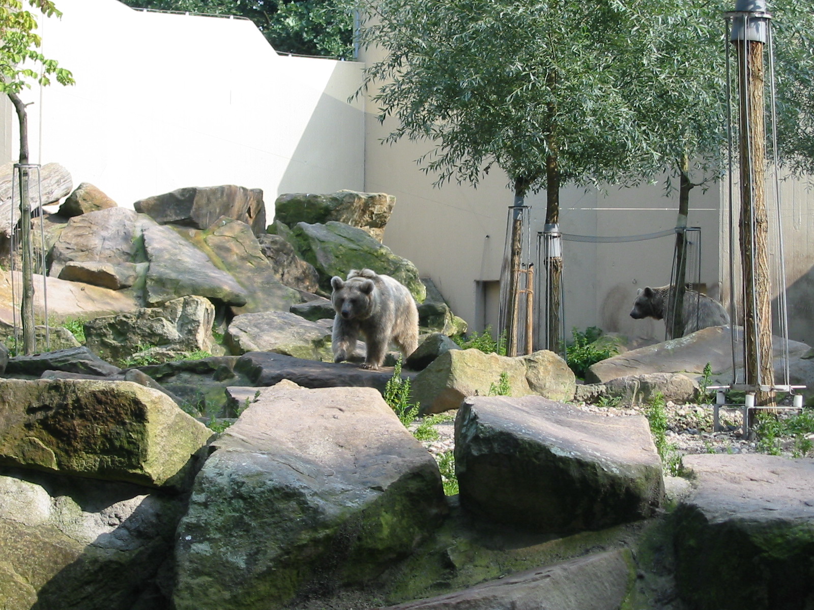 Allwetterzoo Munster 2004 - Syrian Brown Bear exhibit