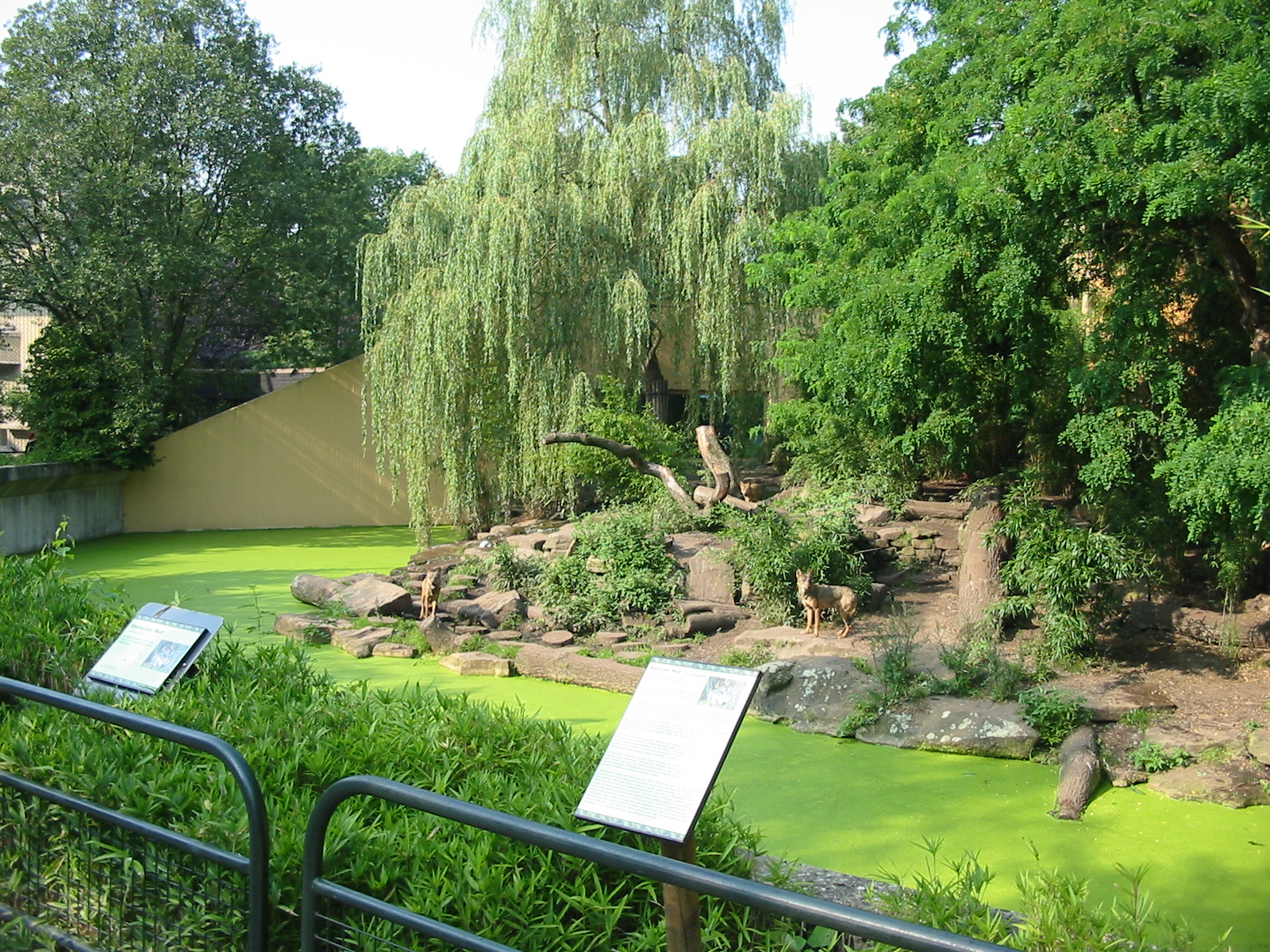 Allwetterzoo Munster 2004 - Wolf exhibit