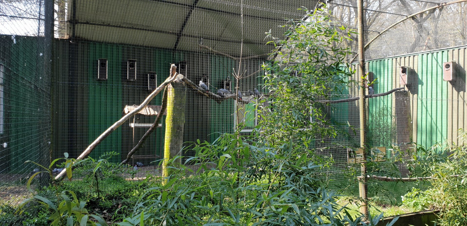 ( Almost ) 50 shades of grey