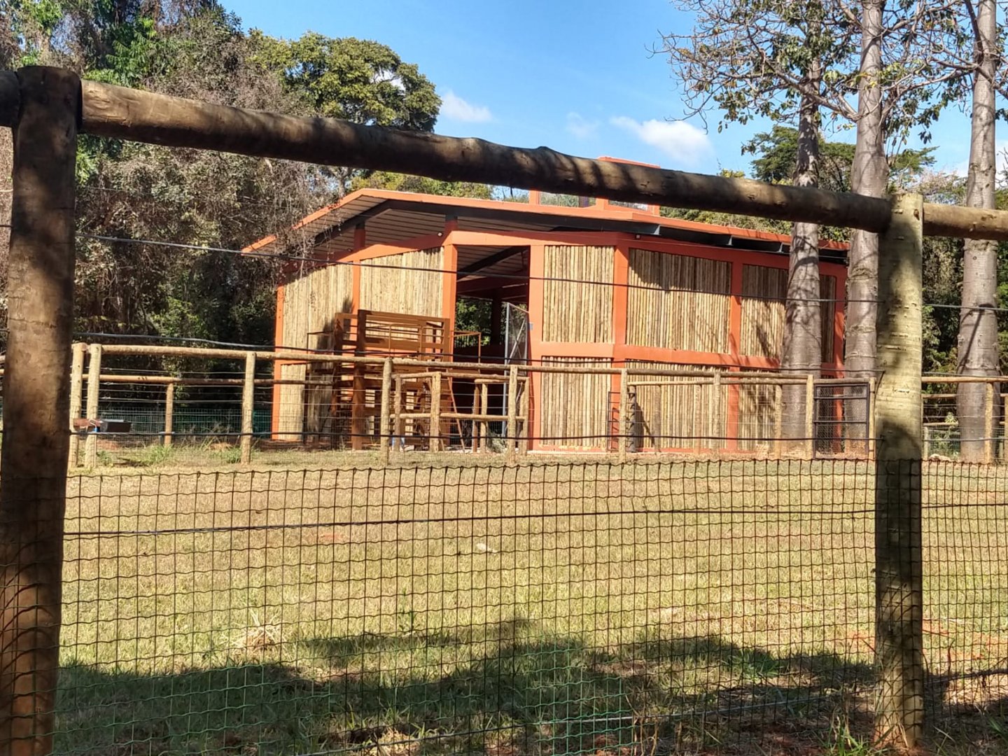 Almost done giraffe house - Belo Horizonte zoo