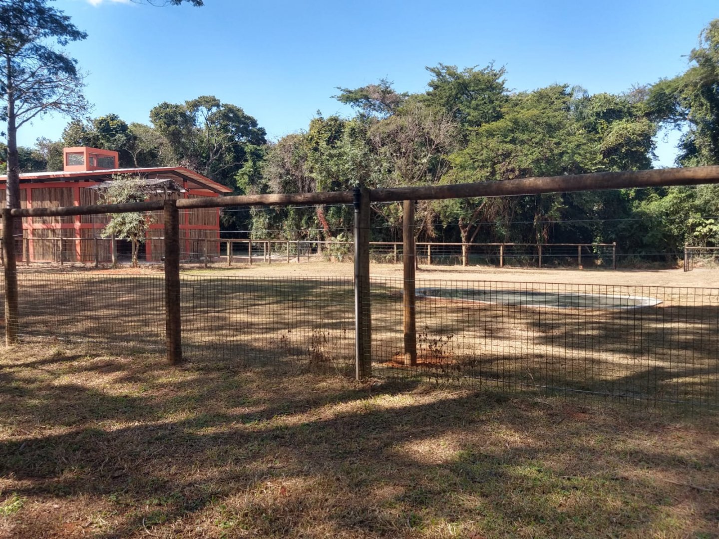 Almost done giraffe house - Belo Horizonte zoo