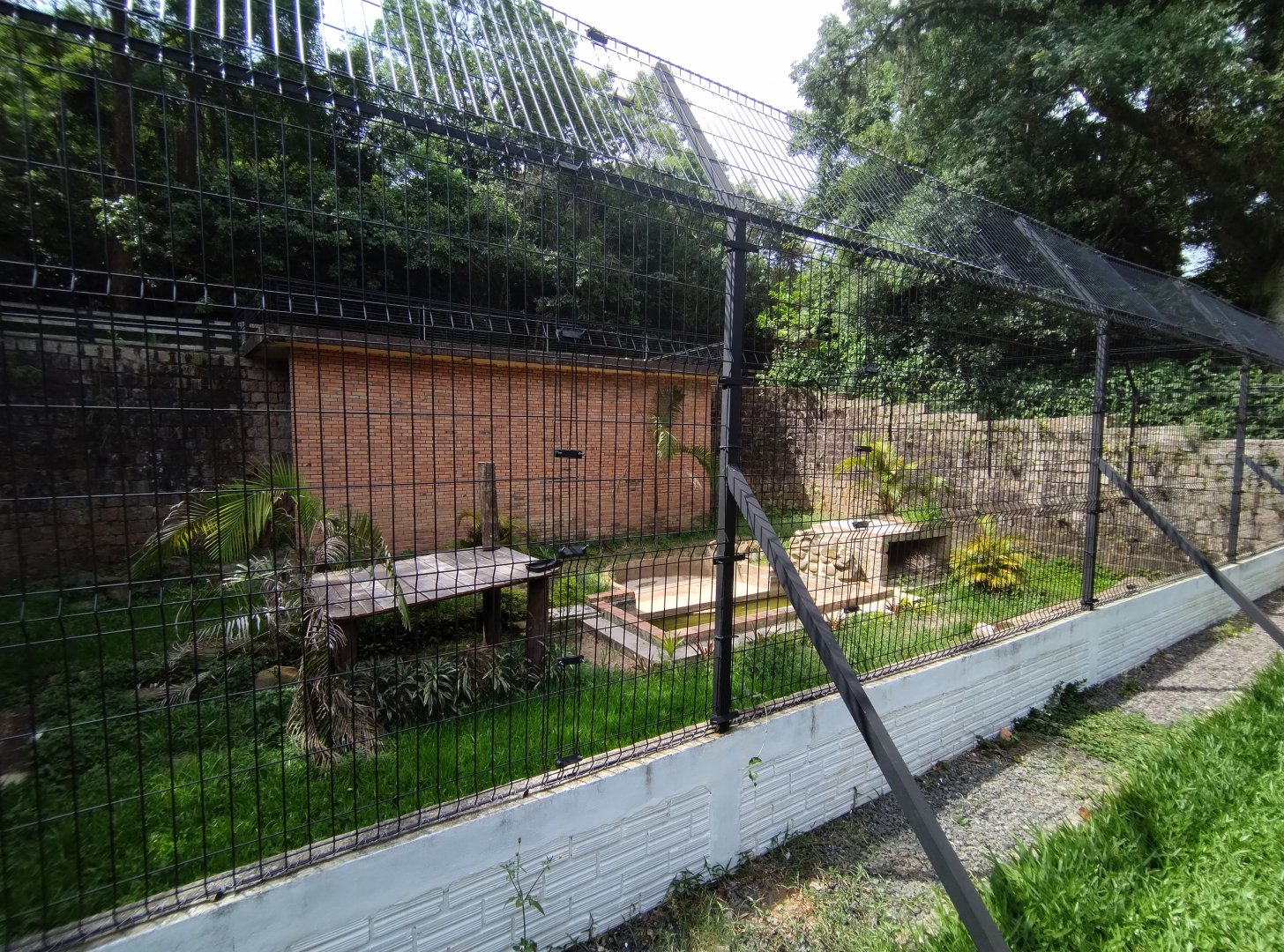 Almost done tiger exhibit - Zoo Sapucaia