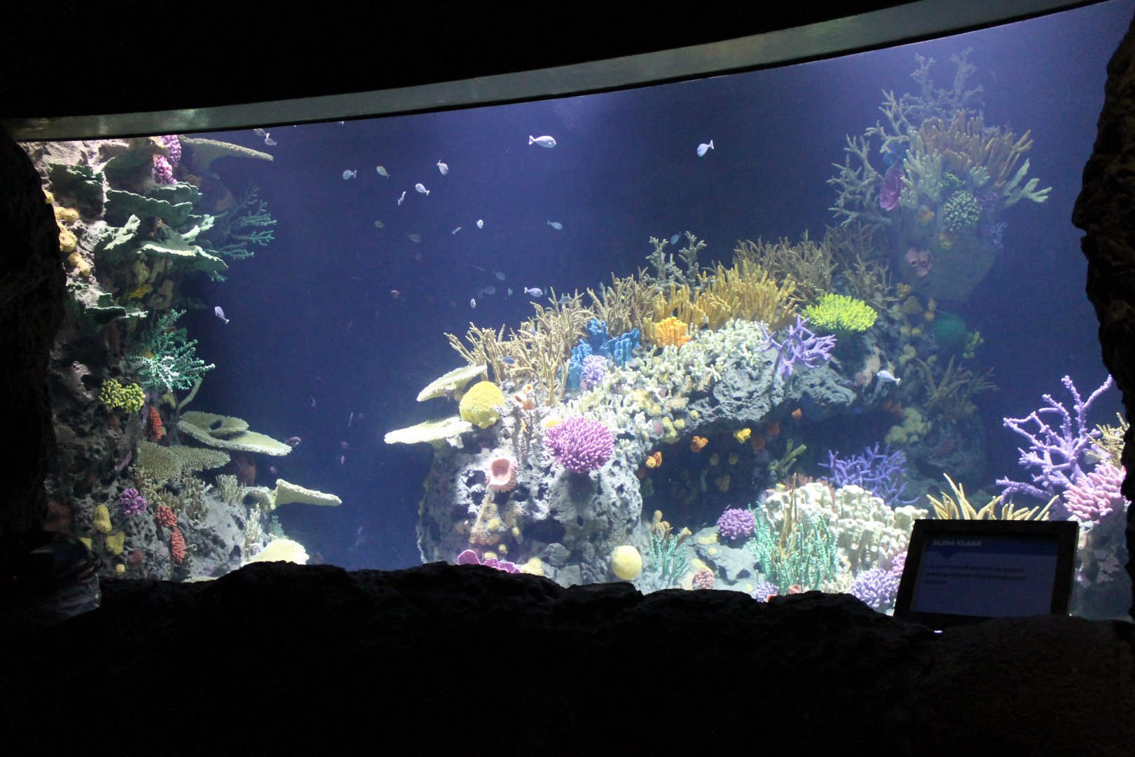 Almost finished newly decorated Aquarium