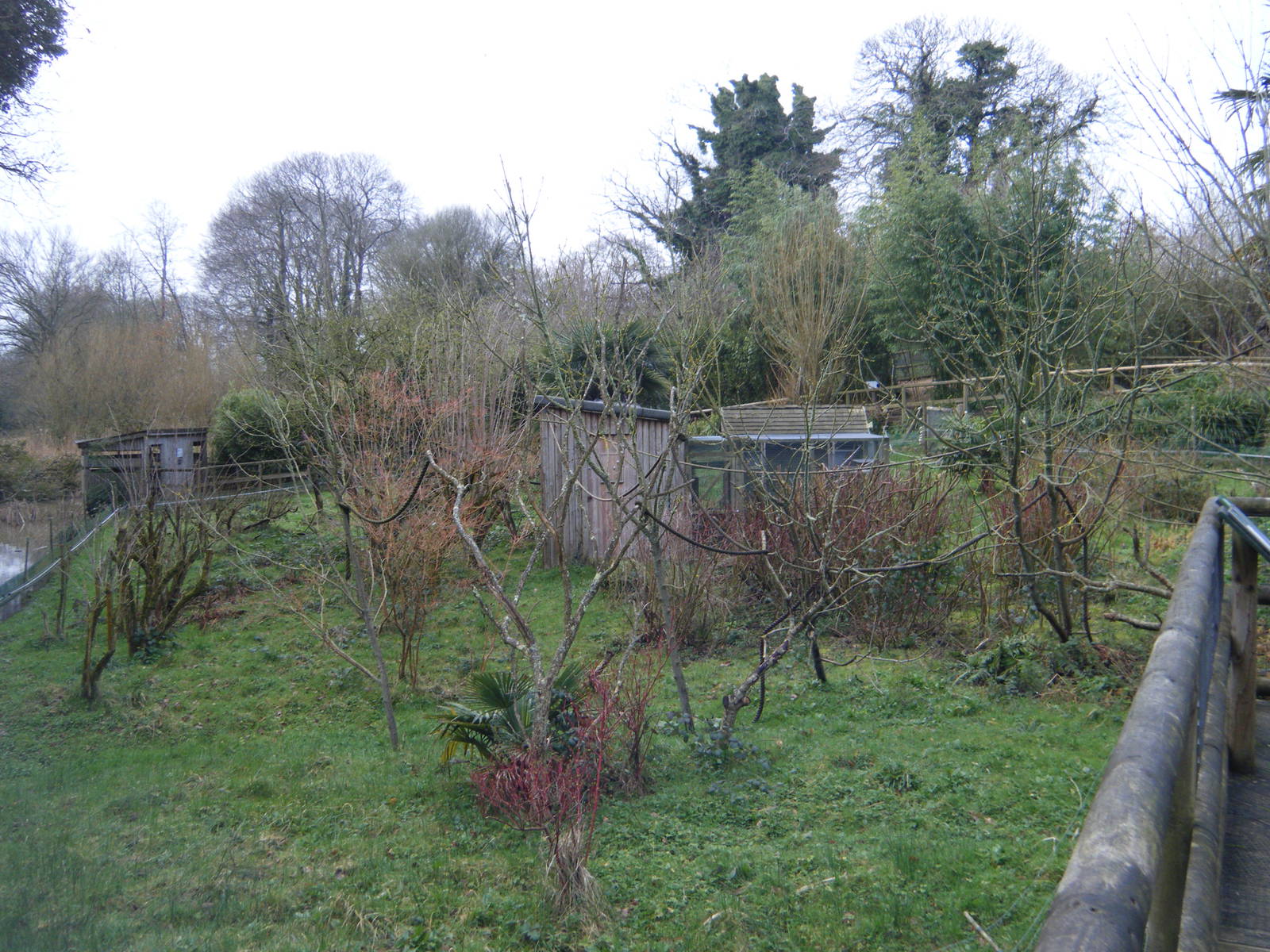 Aloatran Gentle Lemur Enclosure