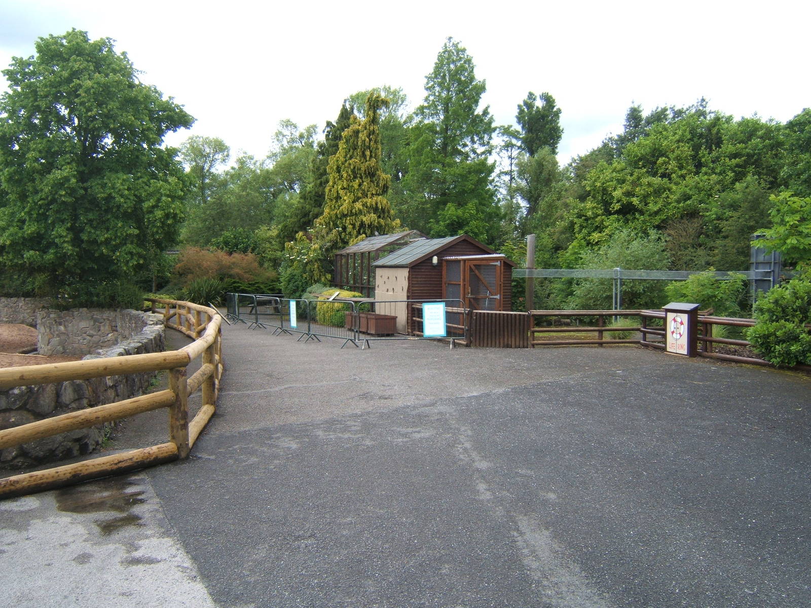 Aloatran Gentle Lemur enclosure