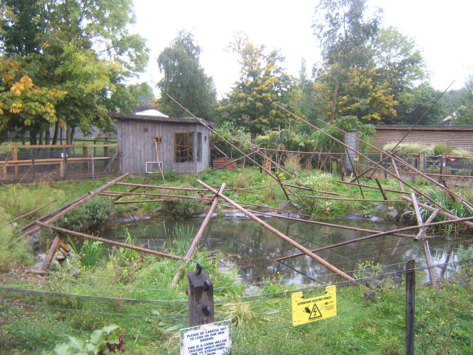 Aloatran Gentle Lemur enclosure