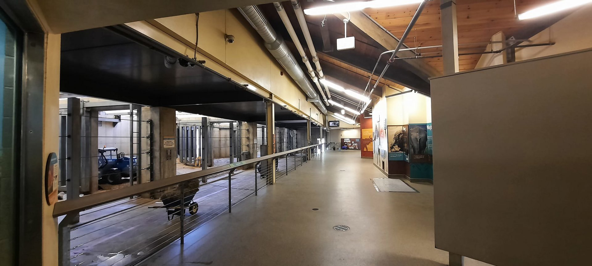 Alone inside Elephant Crossing