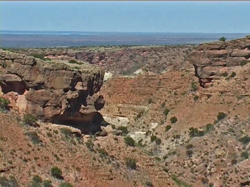 Along Larapinda drive.  NT.