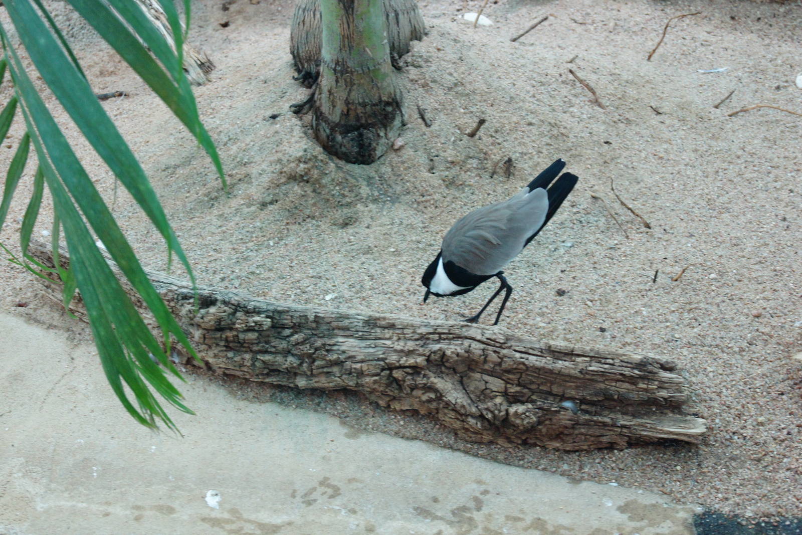 Along The Coast Exhibit