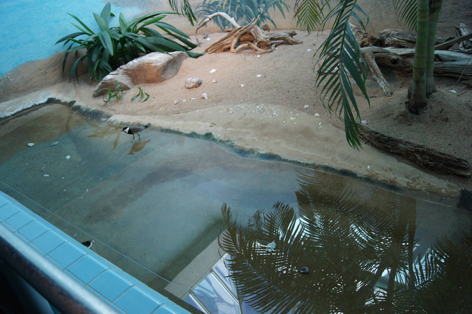 Along The coast Exhibit
