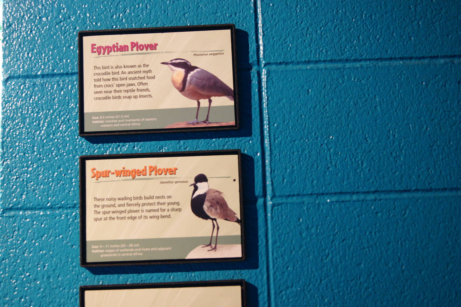 Along The Coast Species Signs