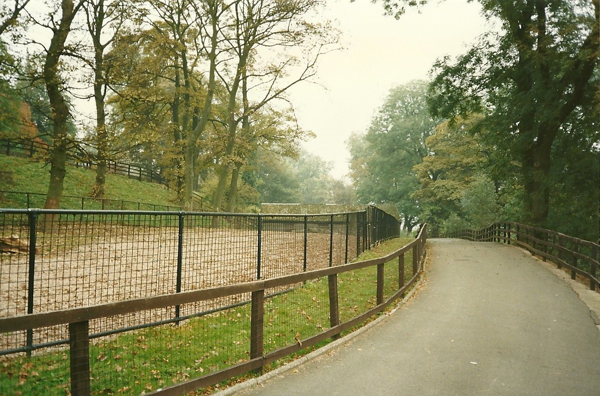 Along the ungulate paddocks 1st November 1997