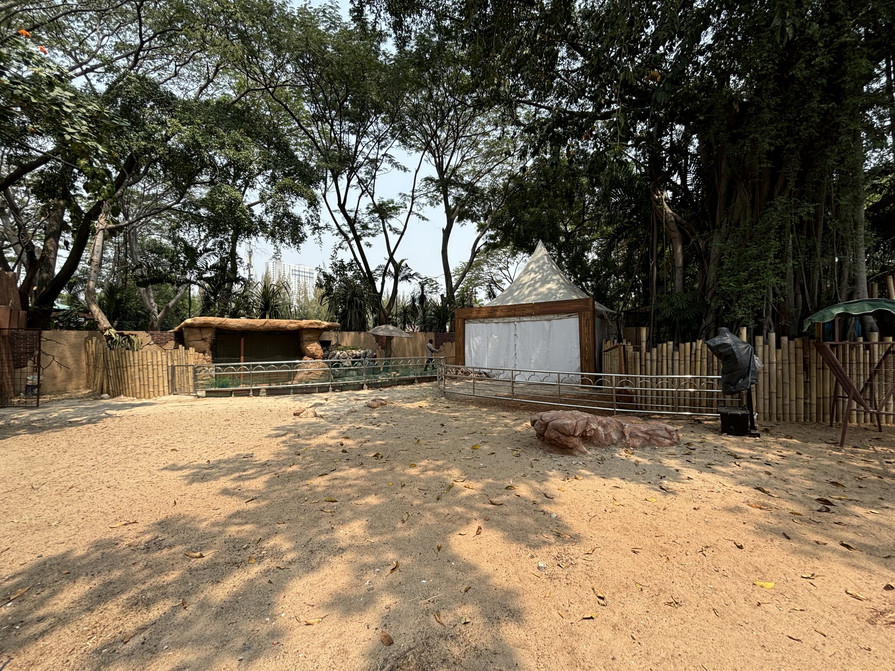 Alpaca + Agile Wallaby Exhibit