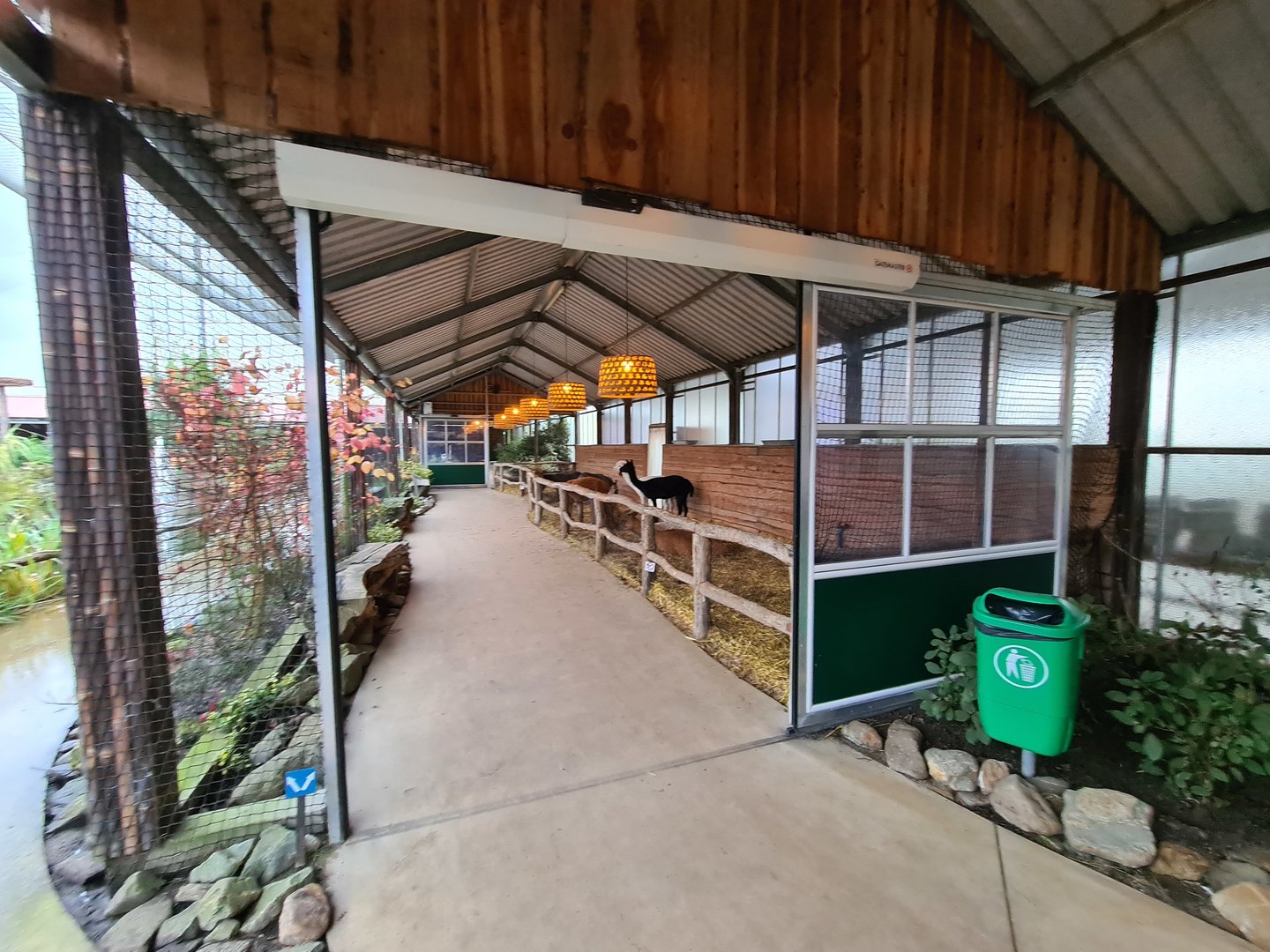 Alpaca and Donkey barn in Lemur kingdom